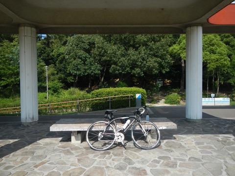 DSCN0146