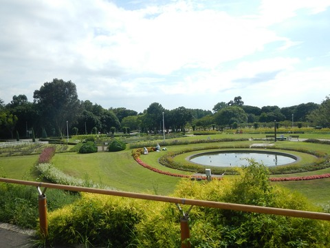 DSCN0145