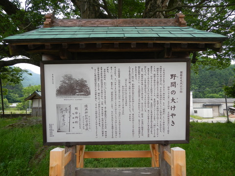 DSCN0021