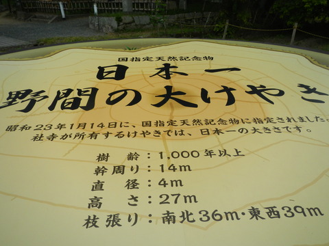 DSCN0019