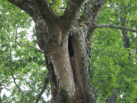 DSCN0025
