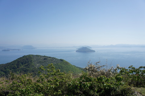 DSC08241