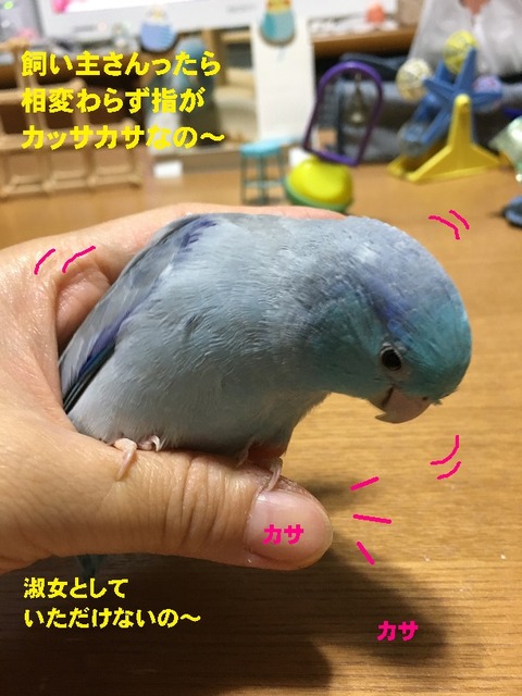 かさ