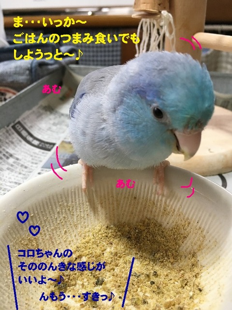 あむ