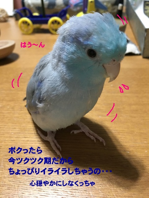 はうん