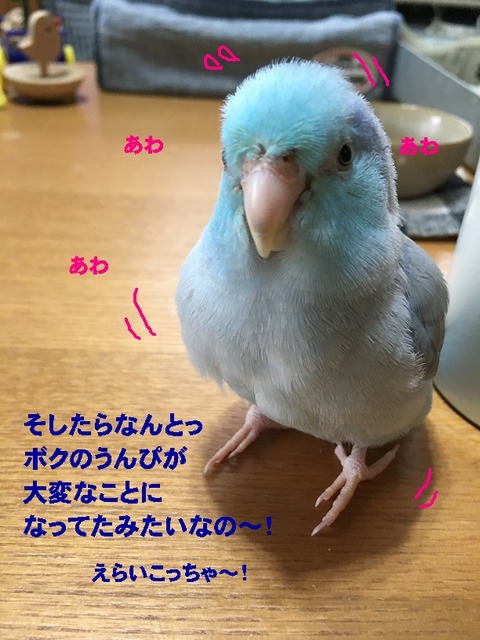 あわ