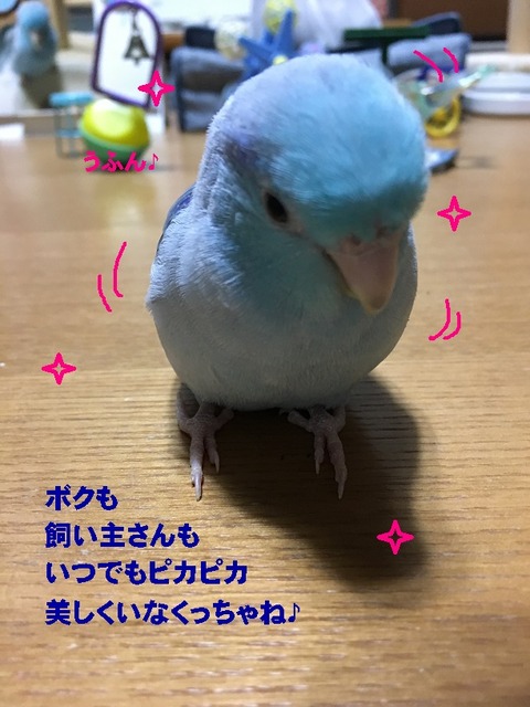 ぴか