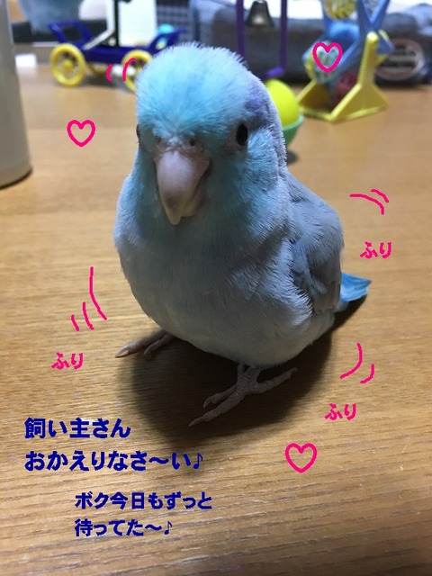 ふり