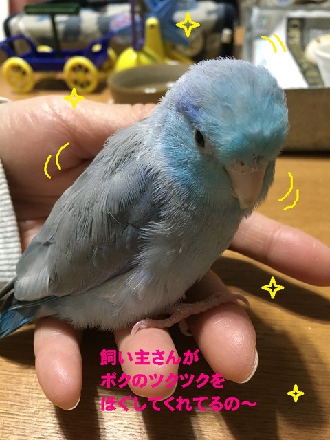 つく