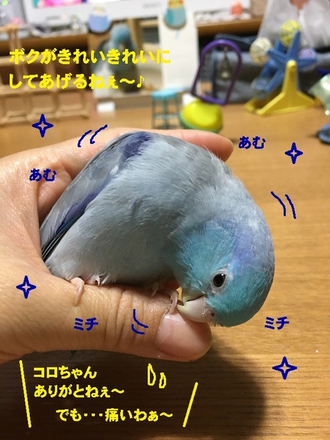 みち