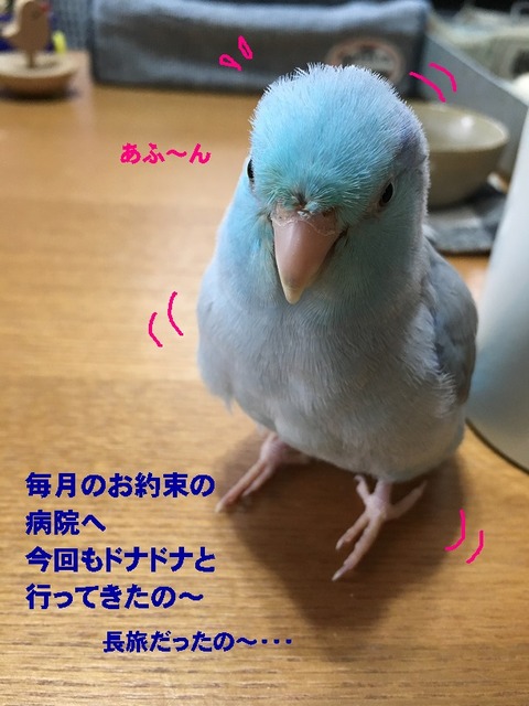 あふ