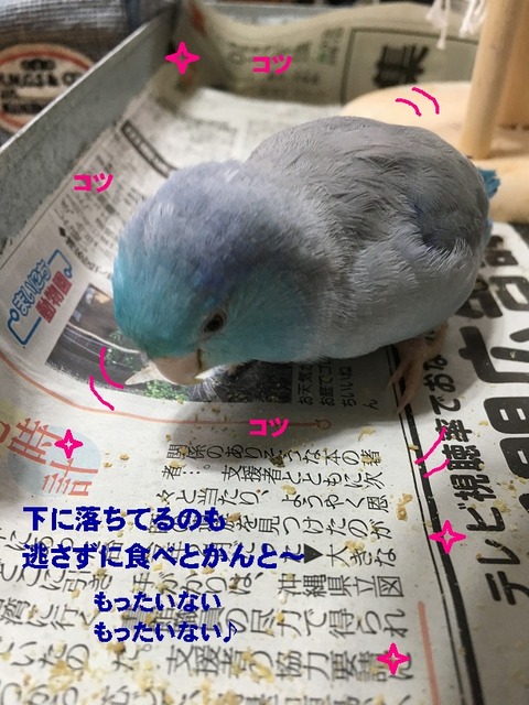こつ
