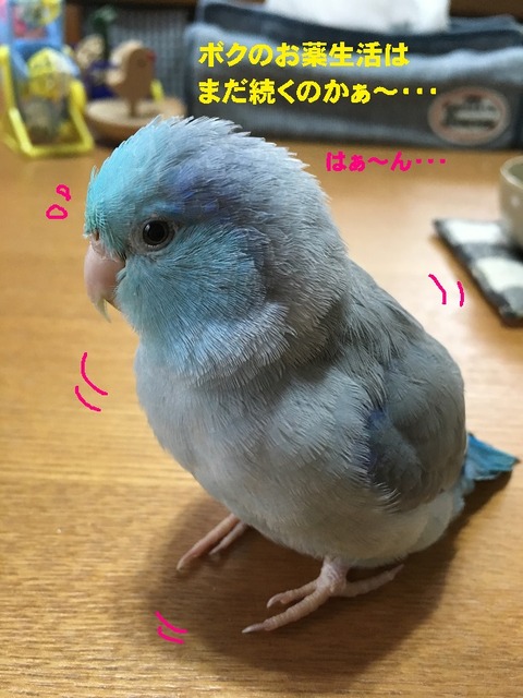 はぁ