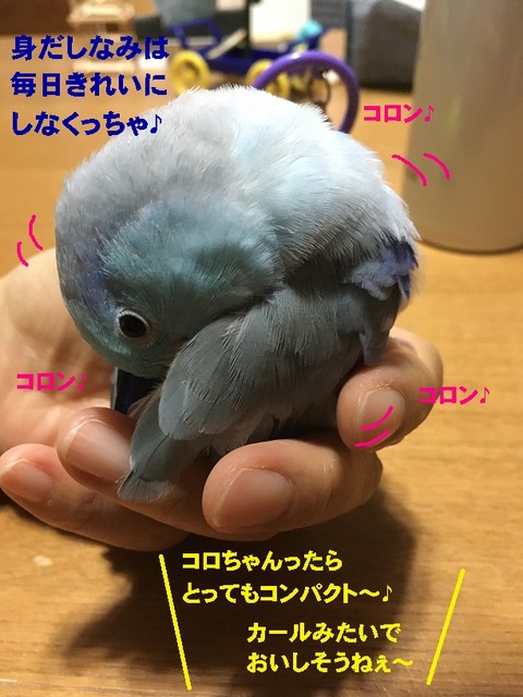 ころん