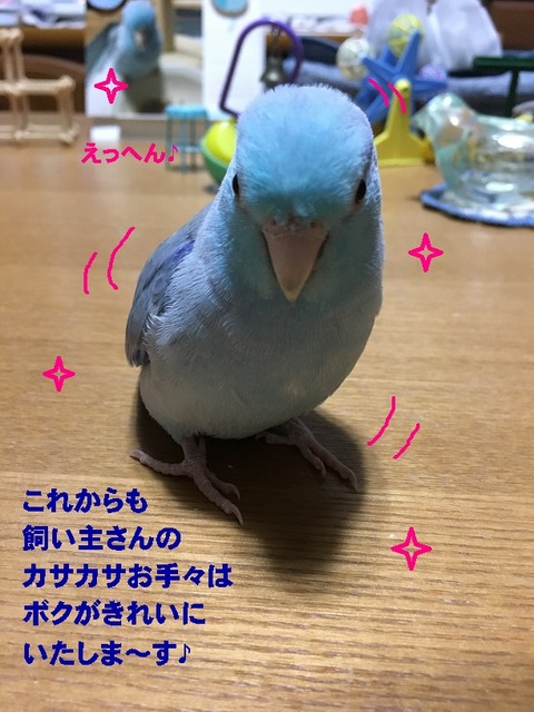 えっへん