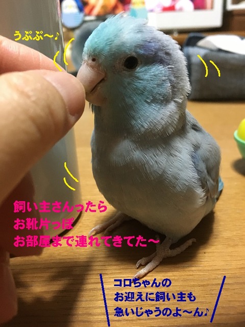 うぷぷ