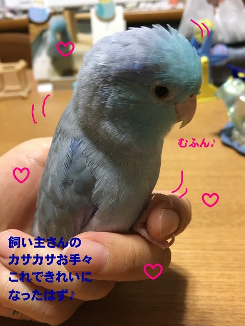 むうん