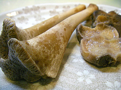 IMGP2006