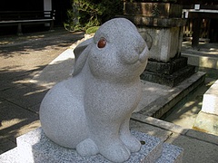 めちゃかわ白うさぎ