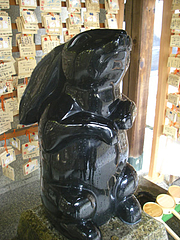 黒ウサギ