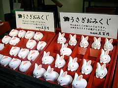 ウサギウサギウサギウサギウサギウサギ