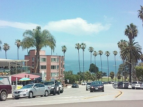 view