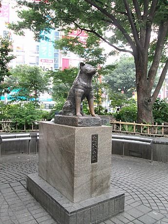 hachiko