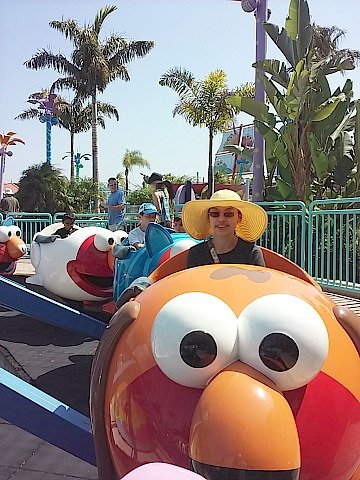 an on ride