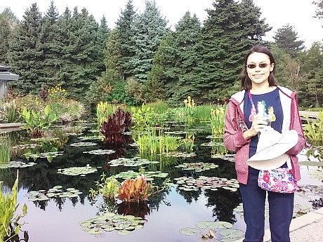 an pond