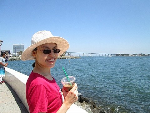 an coronado bridge