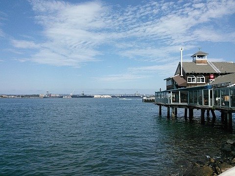 view