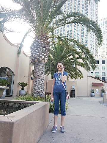 an palm