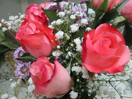 pm roses