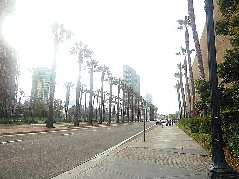 harbor blvd