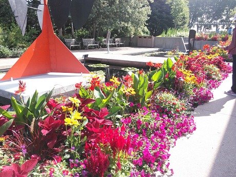 flowers 2
