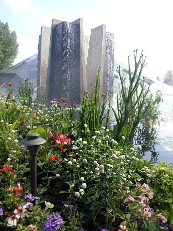 flowers 3