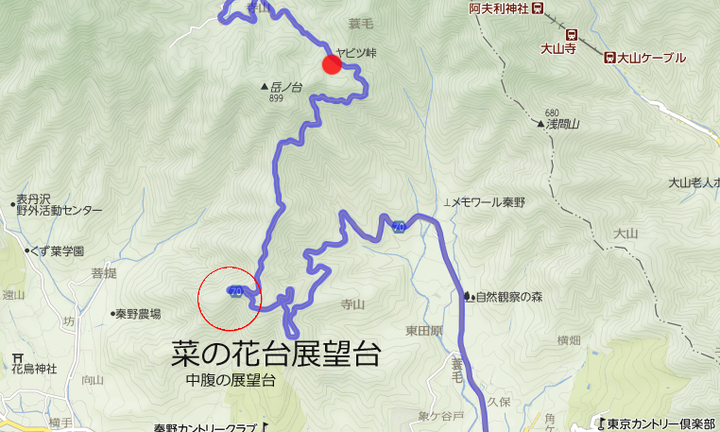 yabi