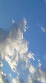 291785_10150478399729908_1591919424_n