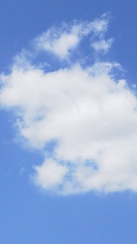944229_10151965440644908_1296801892_n