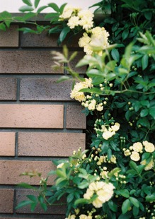 DH000044