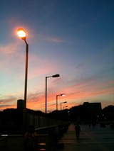 86a0db8a.jpg