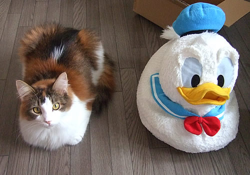 なっちゃんとドナルド
