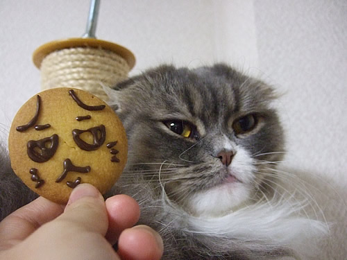 小町とクッキー