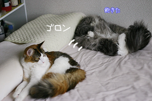 兄妹だもん3