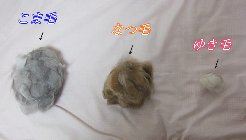 �ӡ��罸��