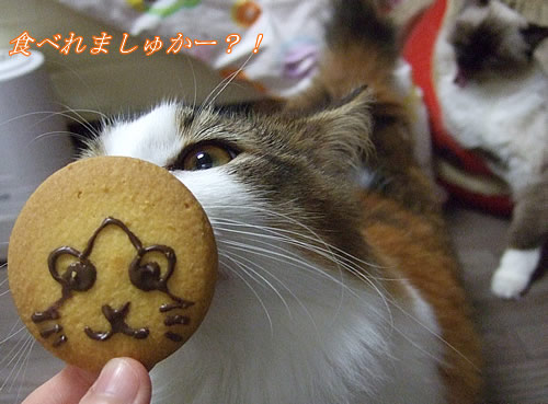 なっちゃんは食べたい