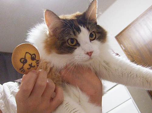 なっちゃんとクッキー
