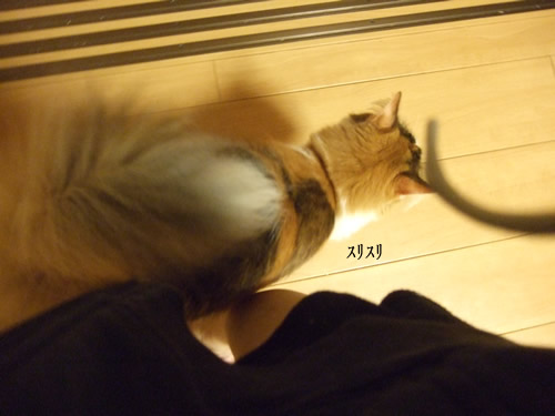 ��˼դä��㤪��