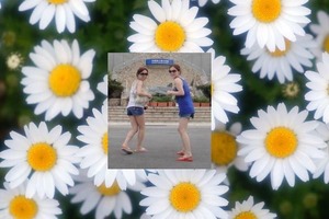picta0005