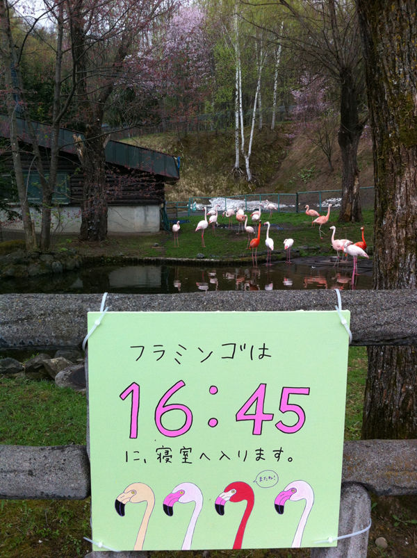 画像 178s